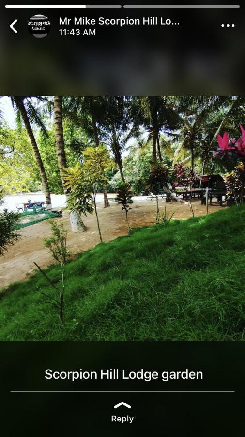 Scorpion Hill Lodge Busua Eksteriør bilde