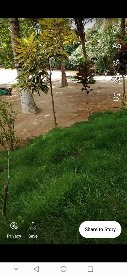 Scorpion Hill Lodge Busua Eksteriør bilde