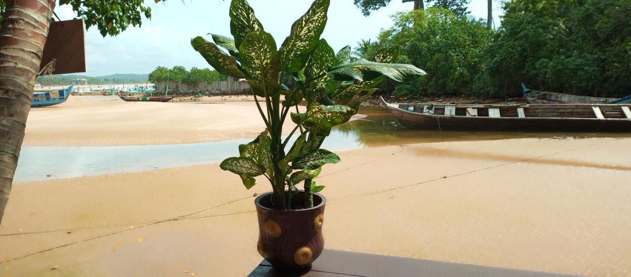 Scorpion Hill Lodge Busua Rom bilde