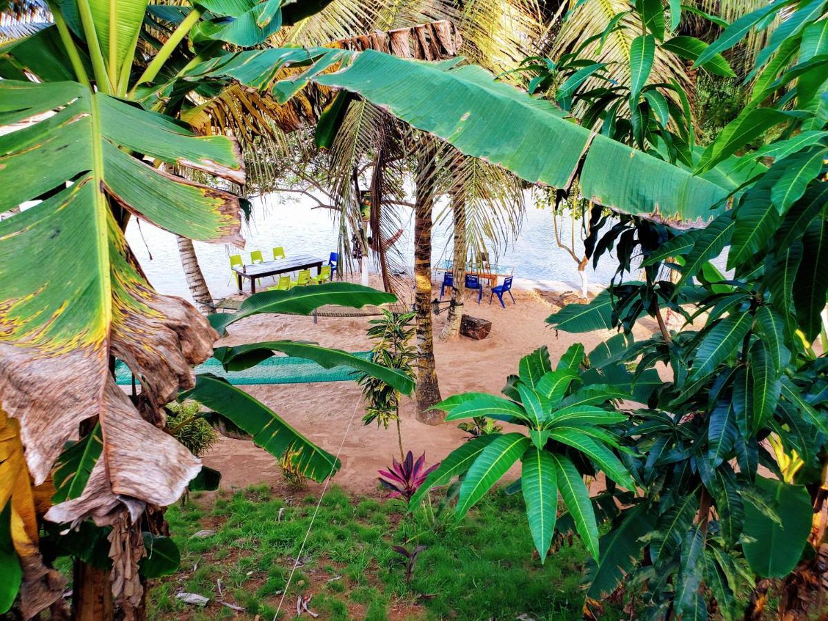 Scorpion Hill Lodge Busua Eksteriør bilde